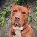 Maria Eugenia Peyronel