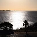 Shay Levert Kerzbaum