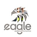 Eaglesocks