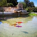 LILIANA PARDO BELÓN