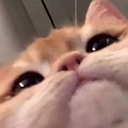 juan pablo barajas gomez