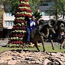 Miguel Barrios Ortega