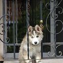 Juan David Salazar Gomez