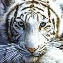 Francisco Dominguez De Alarcon