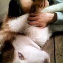 Rebeca Balzán Arias