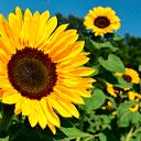 Adriana Rubio Torrecilla