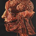 JOSE ALEJANDRO ROMERO ACOSTA