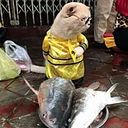 Manuel Camargo Lominchar