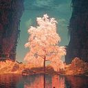 Mareyva Meiding Vargas Carrión