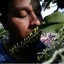 Luis Armando Barrios Oliva