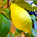 draingpaintinglearning