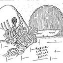 Karina Casillas Elizalde