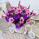 Kalina Alexandrova Kabadjova