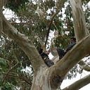 Francisco Valle Krämer