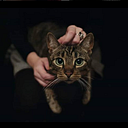 María Victoria Villa