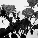 Mariangelica Martinez