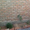 Miguel Berrios Aguilar