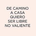 Dana Gutiérrez Arellano