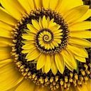 Silvana Barneix Lomazzi