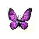 Cristina Zapata Sánchez