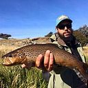 Marcelo Godoy Palacios