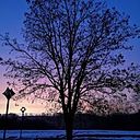 Alexandre De Almeida