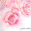 Alicia Dingwall-Fordyce