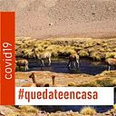 Antofagasta Photograpy