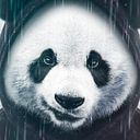 Jose Carlos Berdugo Perez