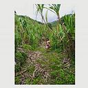 Elizabeth Rodríguez