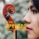 Andrea Larraguibel Torres