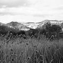 Amelia Puentes Gallego