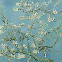 Omayra Medina Rivero