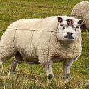 Jose Miguel Delgado Acedo