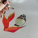 Máriam Lima Coutinho