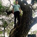 Isaias Alvarez Salto