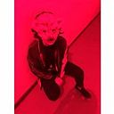 Mayté Castillo Pineda