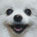 ham