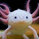 Jorge Ovidio Arboleda Samiento