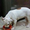 Ronald Velasq Campoz