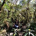 Andrea Vargas Morales