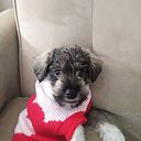 Kathia Lorena Nuñez Chavez