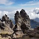 Katia Villalobos Romero