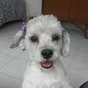 Mg Gomez
