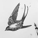 Fernando Esteban Santos