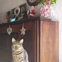 Asta Juskaite Rodriguez