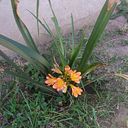 Graciela Mercedes Bessone