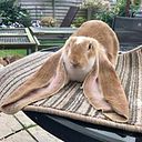 Eduardo DelaCruz Escobedo