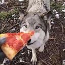 Luis Gonzalez Guerra Hanun