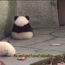 サミュエル アコスタ